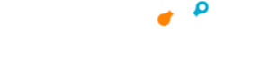 Netskope Logo